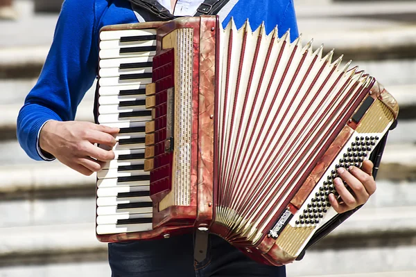 Accordion player — Stock Photo, Image