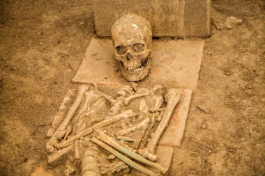 viminacium sitesindeki insan kalıntıları