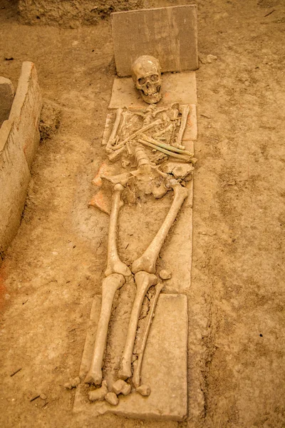 Human remains at Viminacium site — Stock Photo, Image