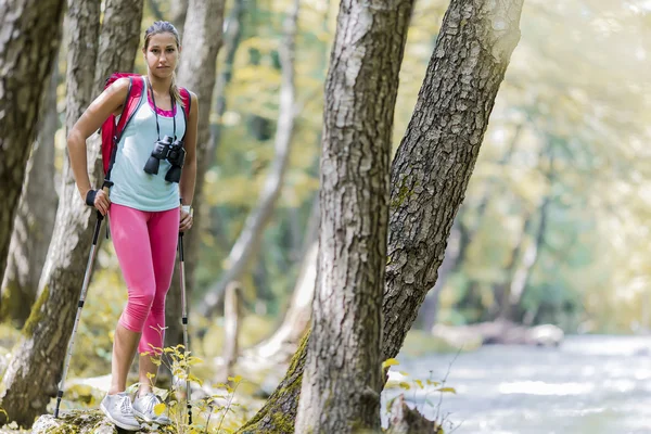 Young woman hiking in the forest — Stock Photo, Image