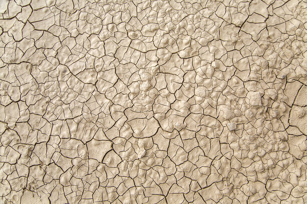 Трещины в почве
