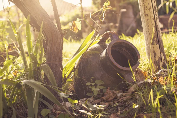 Alter Topf im Garten — Stockfoto