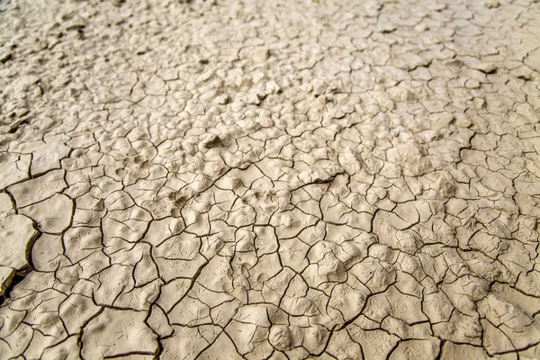 Grietas del suelo — Foto de Stock