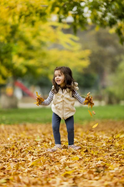 Sonbahar parkta kız — Stok fotoğraf