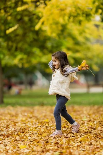 Mädchen im Herbstpark — Stockfoto