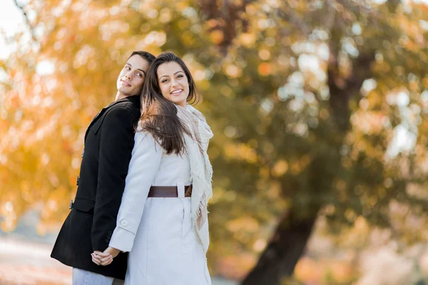 Jovem casal no parque de outono — Fotografia de Stock