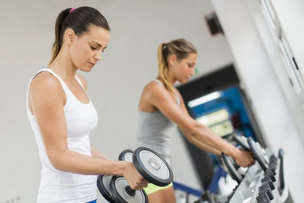 Frauen trainieren im Fitnessstudio — Stockfoto