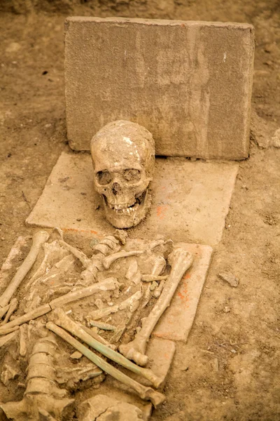 Human remains at Viminacium site — Stock Photo, Image