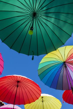 Renkli şemsiyeler