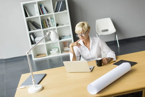 Vrouw met laptop — Stockfoto