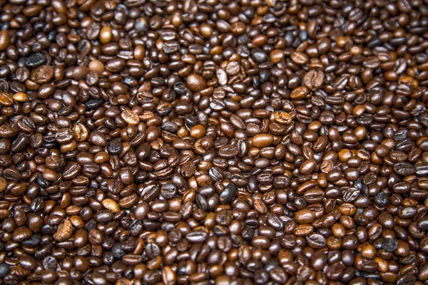 Coffee grains — Stock Photo, Image