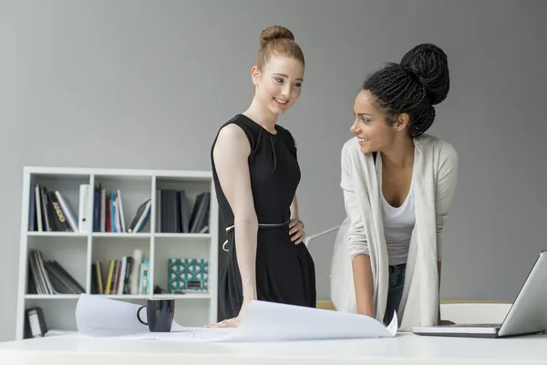 Young people in the office — Stock Photo, Image