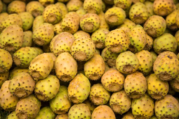 Prickly peren — Stockfoto