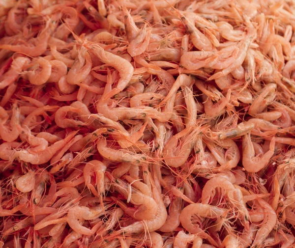 Свежие креветки на рыбном рынке — стоковое фото