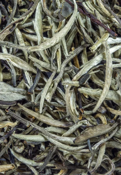 White tea — Stock Photo, Image