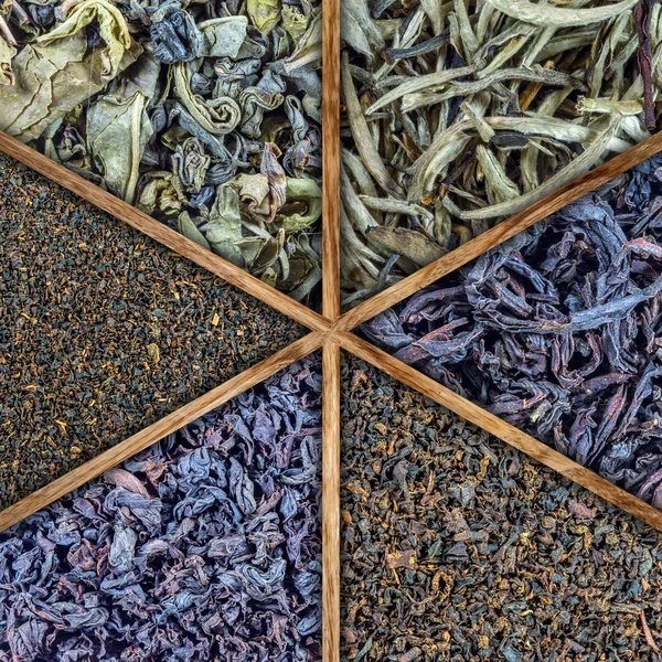 Sri Lankan teas — Stock Photo, Image