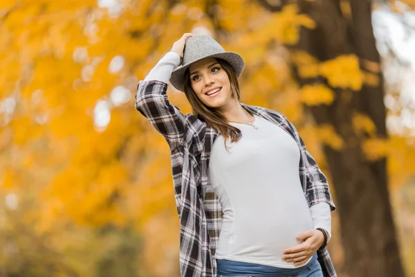 Jonge zwangere vrouw in de herfst park — Stockfoto