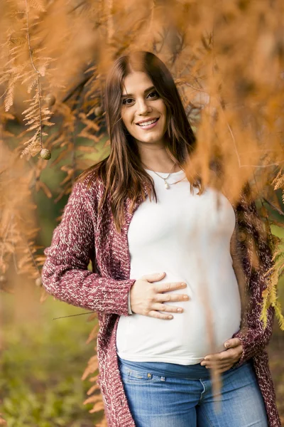 Young pregnant woman in the autumn park — Stock Photo, Image