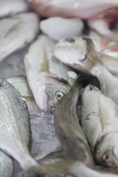 新鮮な魚介類 — ストック写真