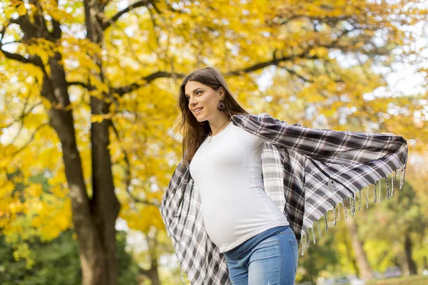 Mujer embarazada joven en el parque de otoño — Foto de Stock