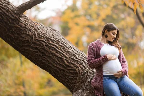 Femeie însărcinată în parcul de toamnă — Fotografie, imagine de stoc