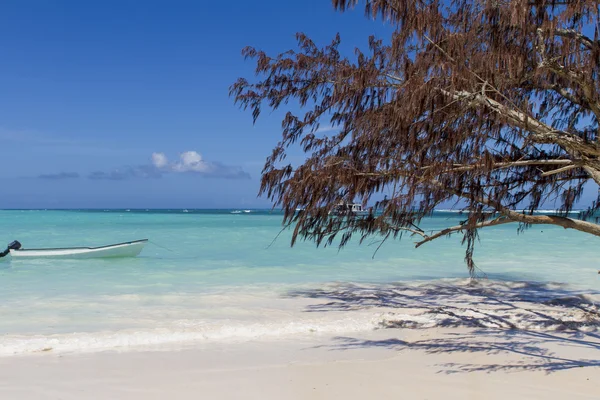 Tropical beach — Stock Photo, Image