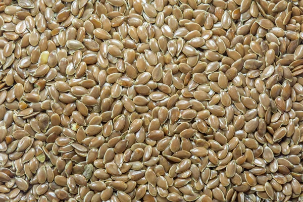 Flax seed — Stock Photo, Image