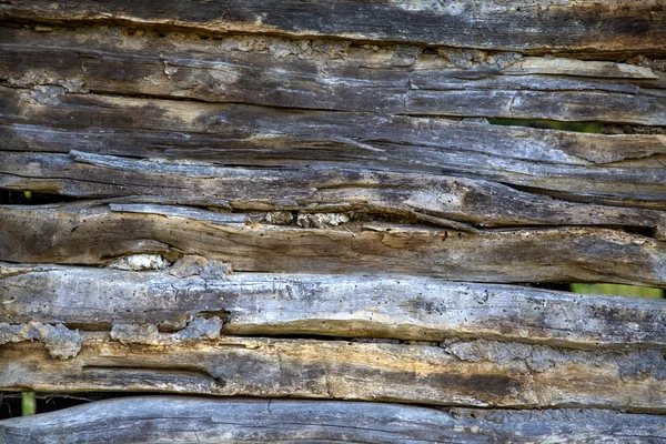 Trästruktur — Stockfoto