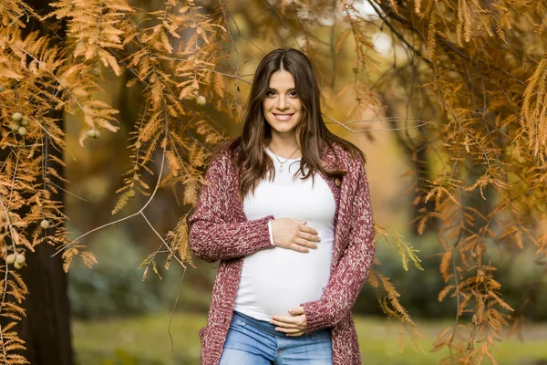 Jonge zwangere vrouw in de herfst park — Stockfoto