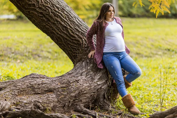 Mujer embarazada joven en el parque de otoño —  Fotos de Stock