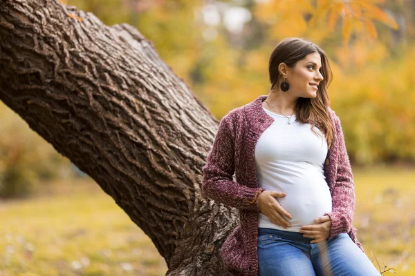 Jeune femme enceinte dans le parc d'automne — Photo