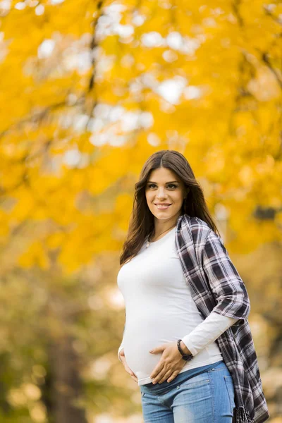 Young pregnant woman in the autumn park — Stock Photo, Image