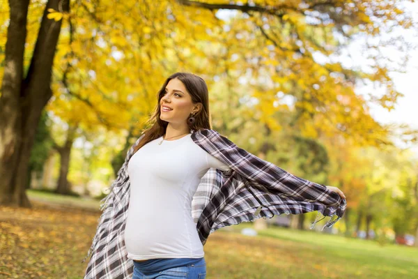 Mladá těhotná žena v podzimním parku — Stock fotografie