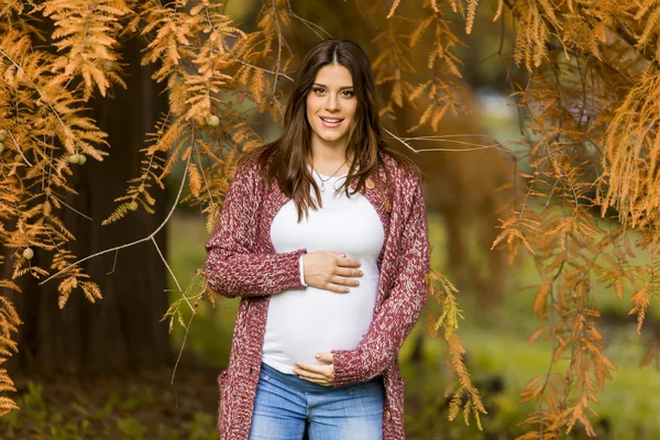 Young pregnant woman in the autumn park — Stock Photo, Image