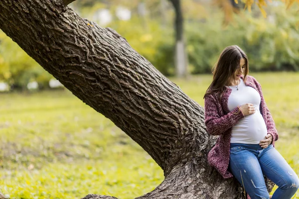 Sonbahar parkta genç hamile kadın — Stok fotoğraf