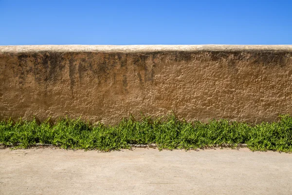 The wall — Stock Photo, Image