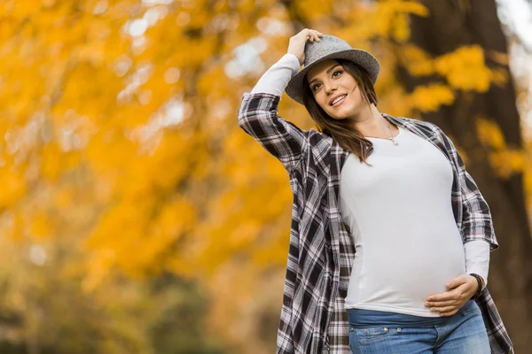 Молодая беременная женщина в осеннем парке — стоковое фото