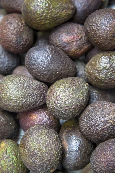 Aguacates — Foto de Stock