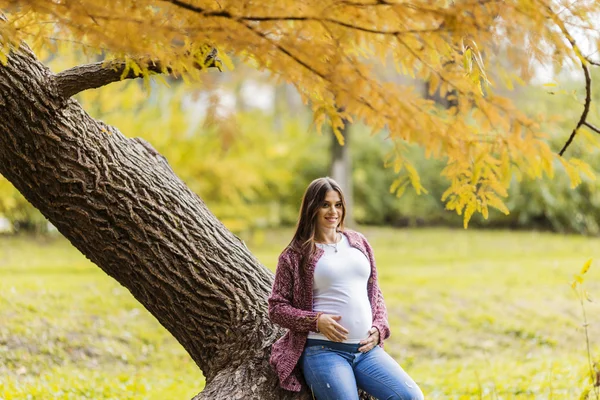 Mujer embarazada joven en el parque de otoño —  Fotos de Stock