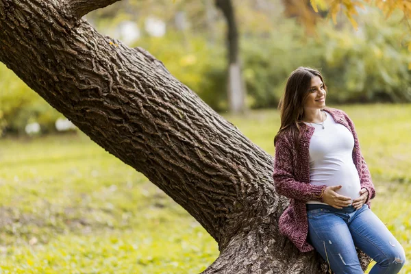Молодая беременная женщина в осеннем парке — стоковое фото