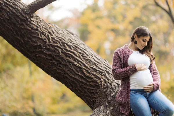 Mujer embarazada joven en el parque de otoño — Foto de Stock