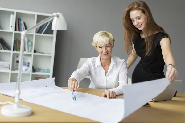 Vrouwen die werkzaam zijn in het kantoor — Stockfoto