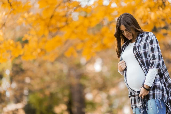 Wanita hamil muda di taman musim gugur — Stok Foto