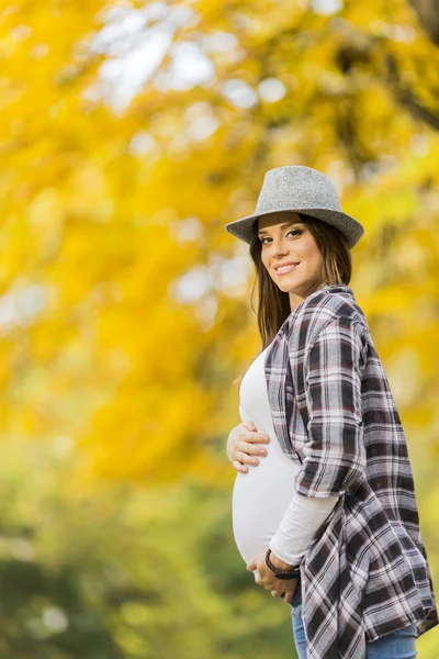 Őszi park-fiatal terhes nő — Stock Fotó