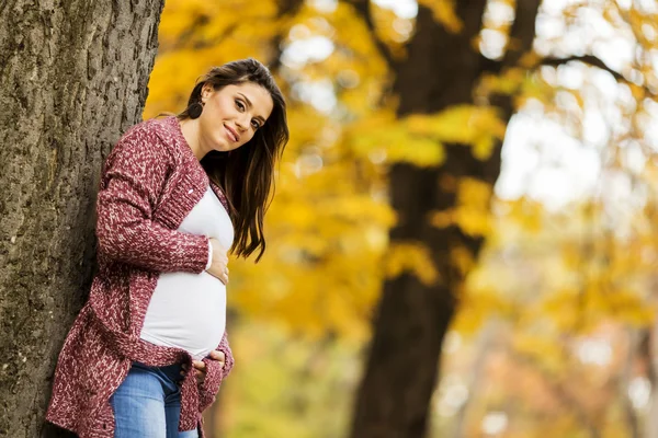 Giovane donna incinta nel parco autunnale — Foto Stock