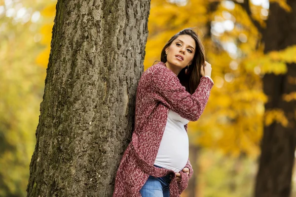 Mladá těhotná žena v podzimním parku — Stock fotografie