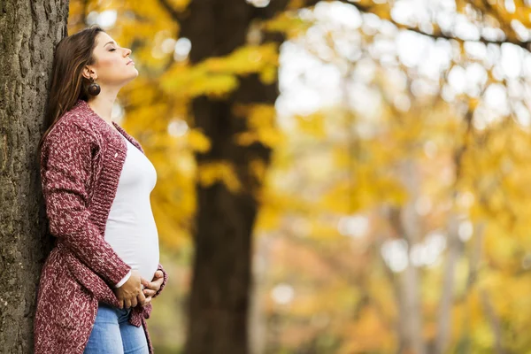 Mujer embarazada joven en el parque de otoño —  Fotos de Stock