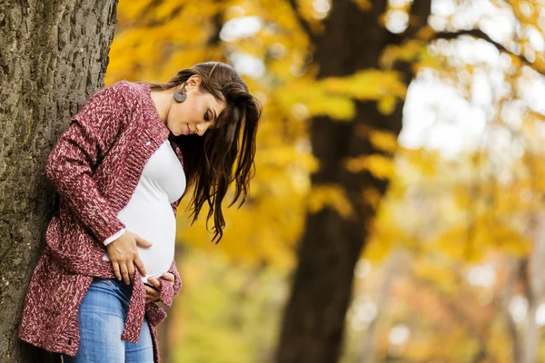 Mujer embarazada joven en el parque de otoño — Foto de Stock