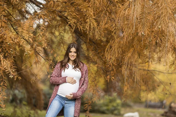 Young pregnant woman in the autumn park — Stock Photo, Image