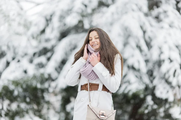 Young woman at winter — Stock Photo, Image